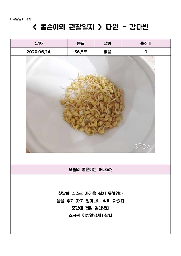 [비대면 활동 프로그램] 그린 메이트(Green Mate)